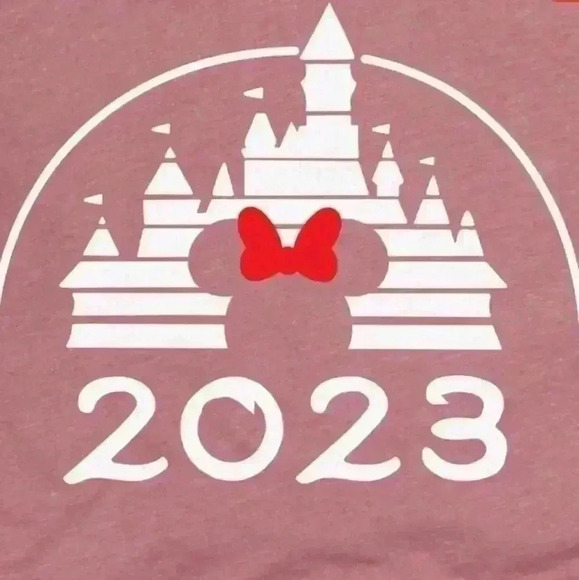 Minnie’s Castle Shirt 2023 in Heather mauve size small - Picture 3 of 8
